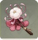 《原神》霓裳花位置及获取方法 3.4霓裳花收集路线