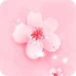 91草莓视频手机版下载安装