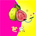 木瓜影视apk下载入口