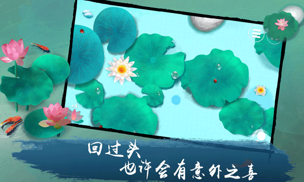 荷露2